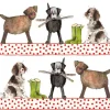 Alex Clark Coaster - Country Dogs