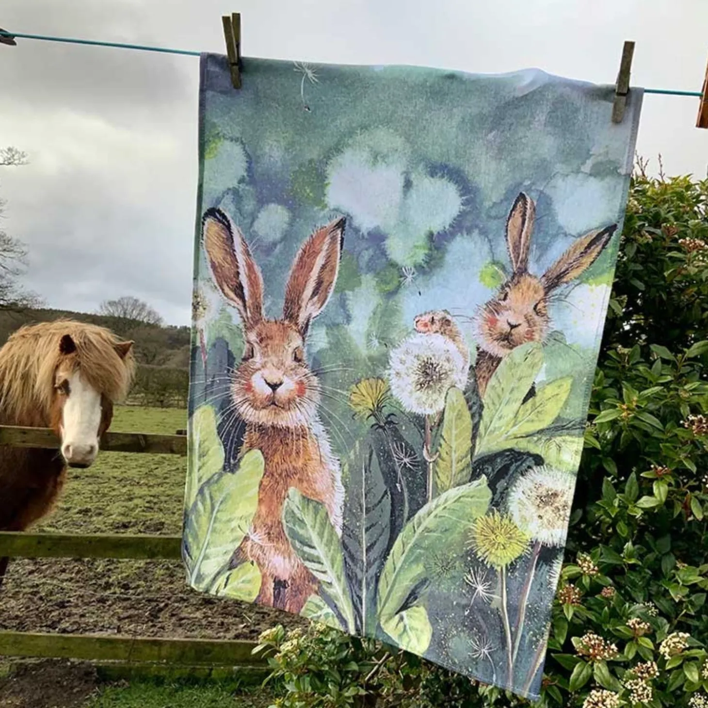 Alex Clark 100% Cotton Tea Towel - Little Rabbits