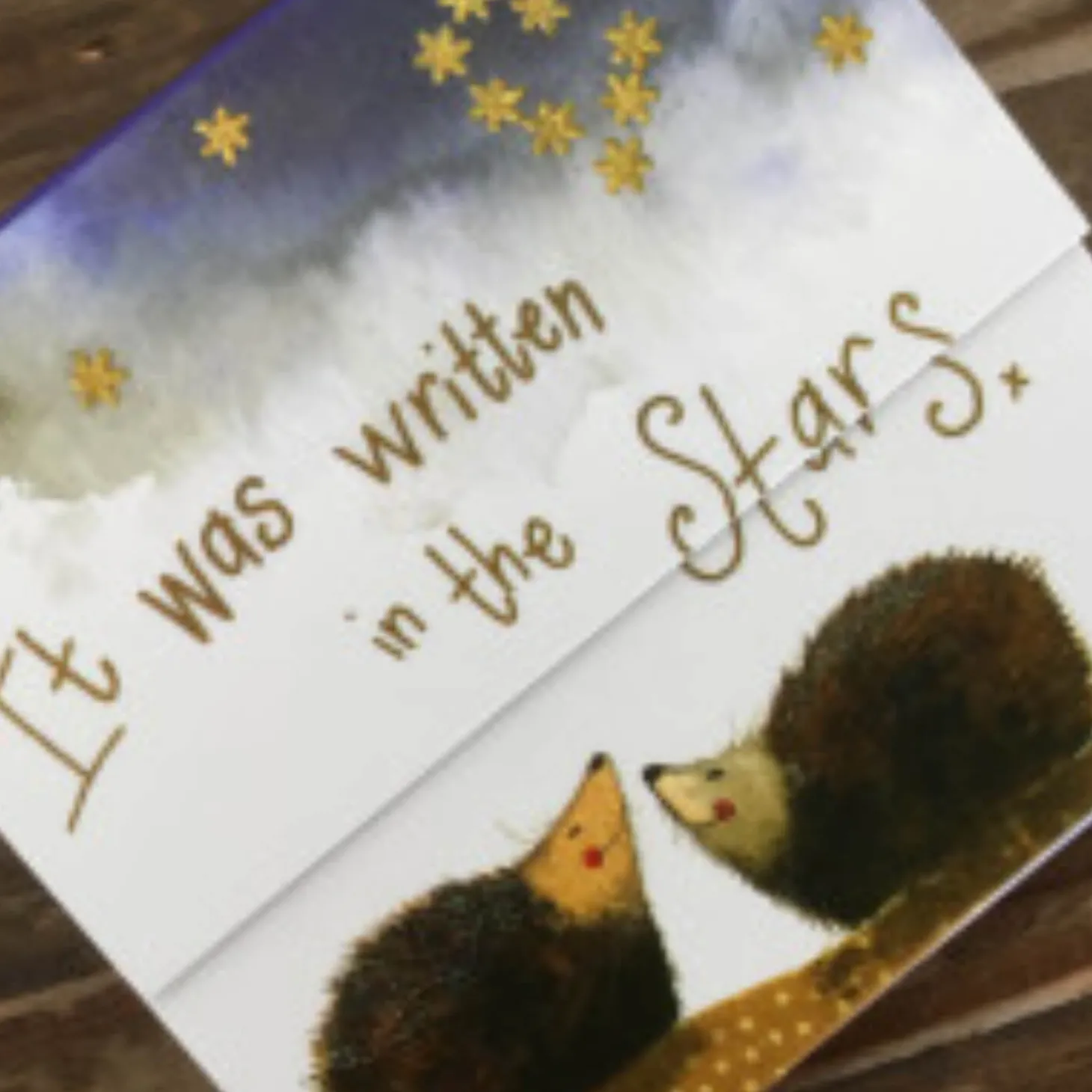 Alex Clark Mini Magnetic Close Notepad - Stargazers