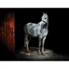 iStyle Rural Roots Rectangular Glass Worktop Saver - Horse