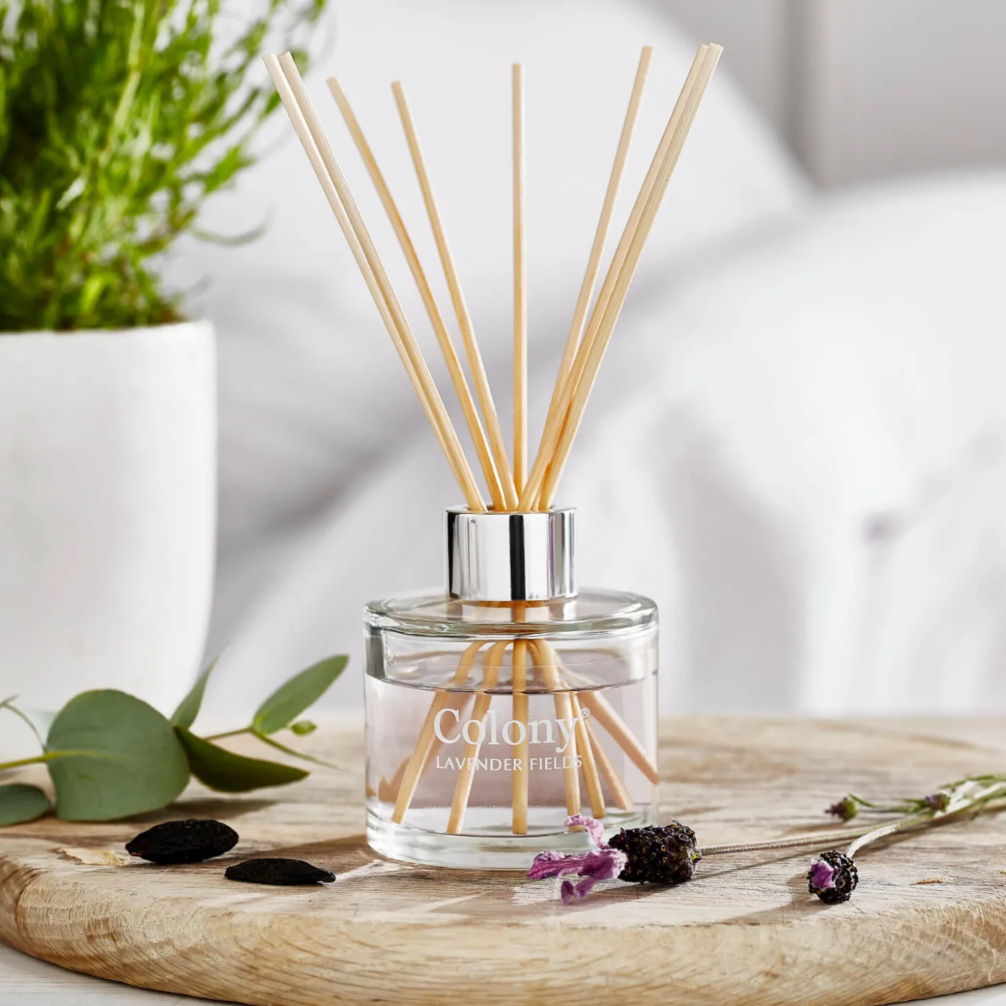 Wax Lyrical Colony 100ml Reed Diffuser - Lavender Fields