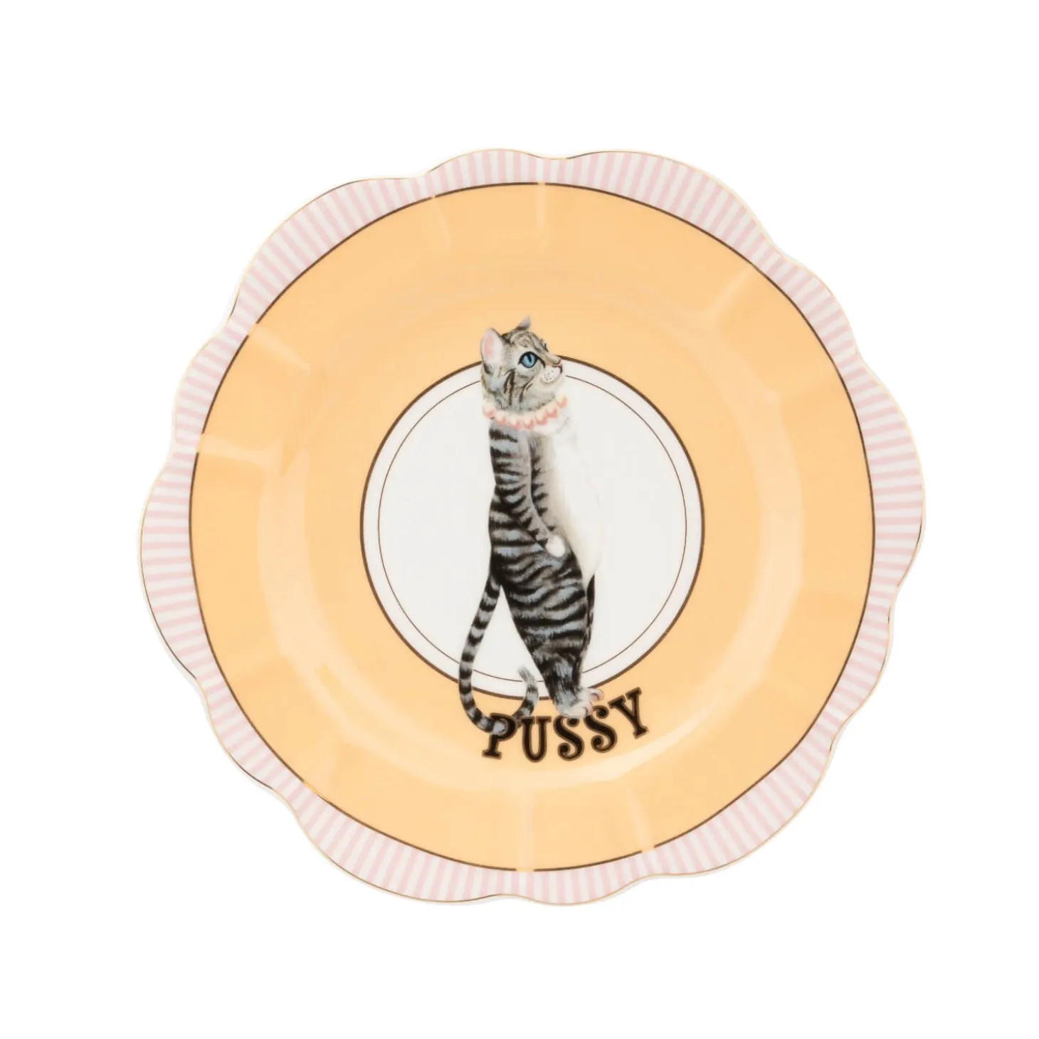 Yvonne Ellen 23cm Fine China Flower Plate - Pussy