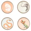 Yvonne Ellen Fine China 4-Piece Coaster Set - Animal